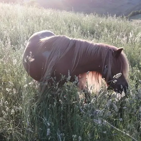 Vakantiehuis De Luca