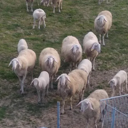 De Luca Vakantiehuis *