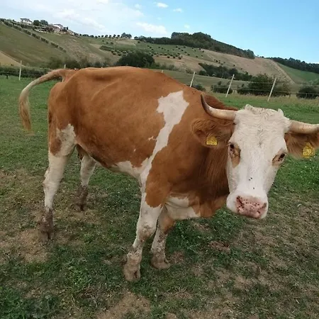 De Luca Vakantiehuis *