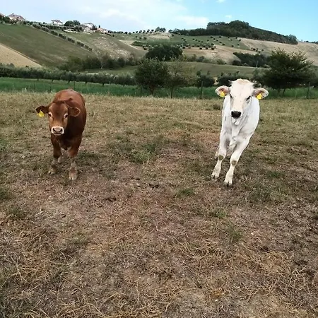 De Luca Vakantiehuis