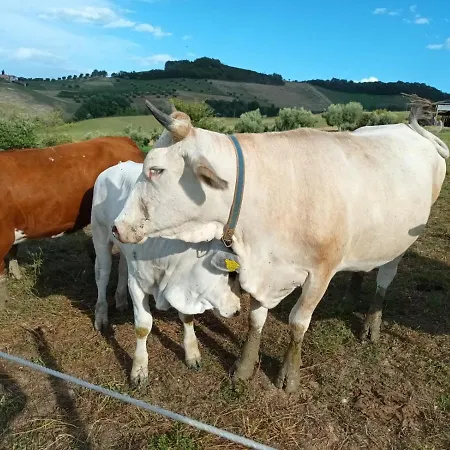 Vakantiehuis De Luca *