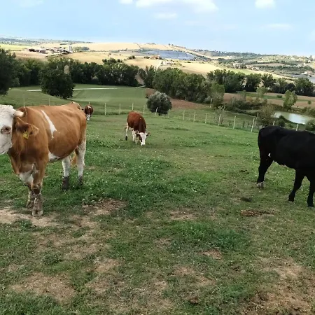 De Luca Vakantiehuis *