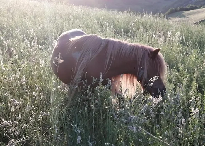 Casa vacanze De Luca