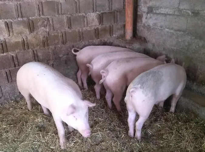 Casa vacanze De Luca Bellante