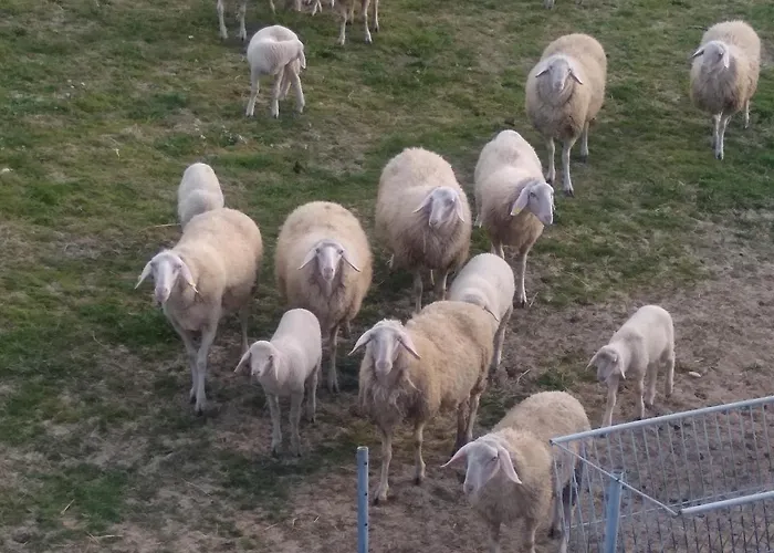 De Luca Casa vacanze *