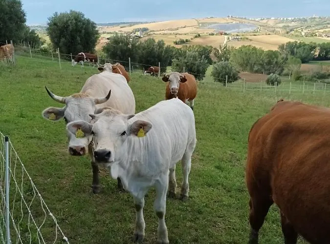 De Luca Casa vacanze *