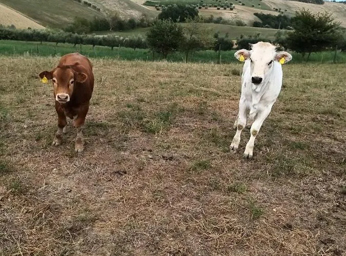 De Luca Casa vacanze