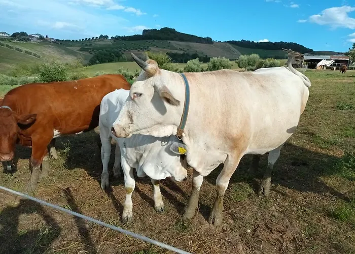 Casa vacanze De Luca *