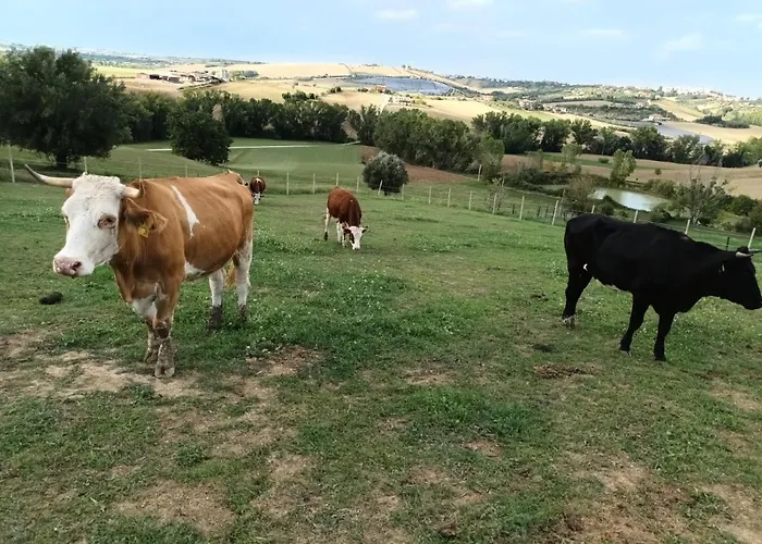 De Luca Casa vacanze *