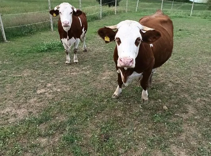 Casa vacanze De Luca