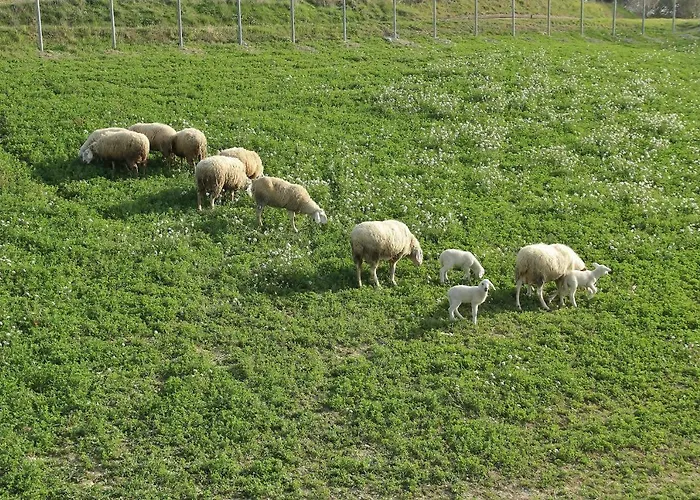 Casa vacanze De Luca